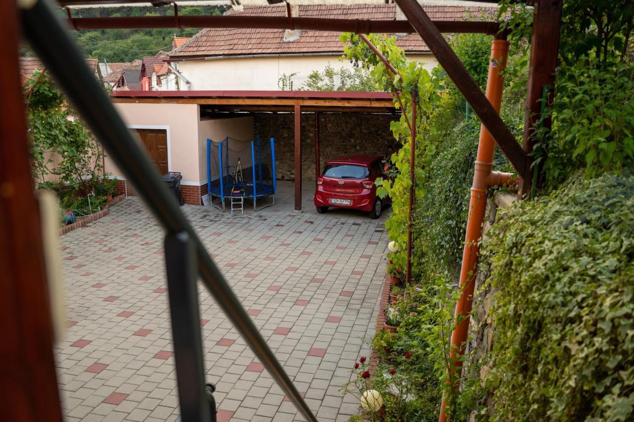 Apartament Panoramic La Casa In Comuna Rasinari Exterior photo